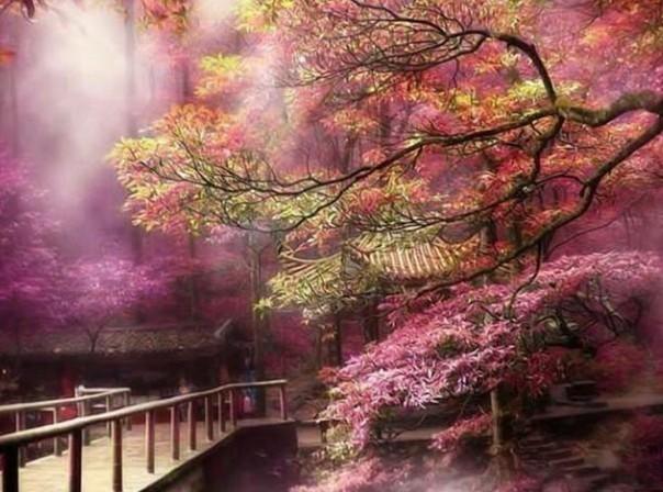 公主设计师大赛
